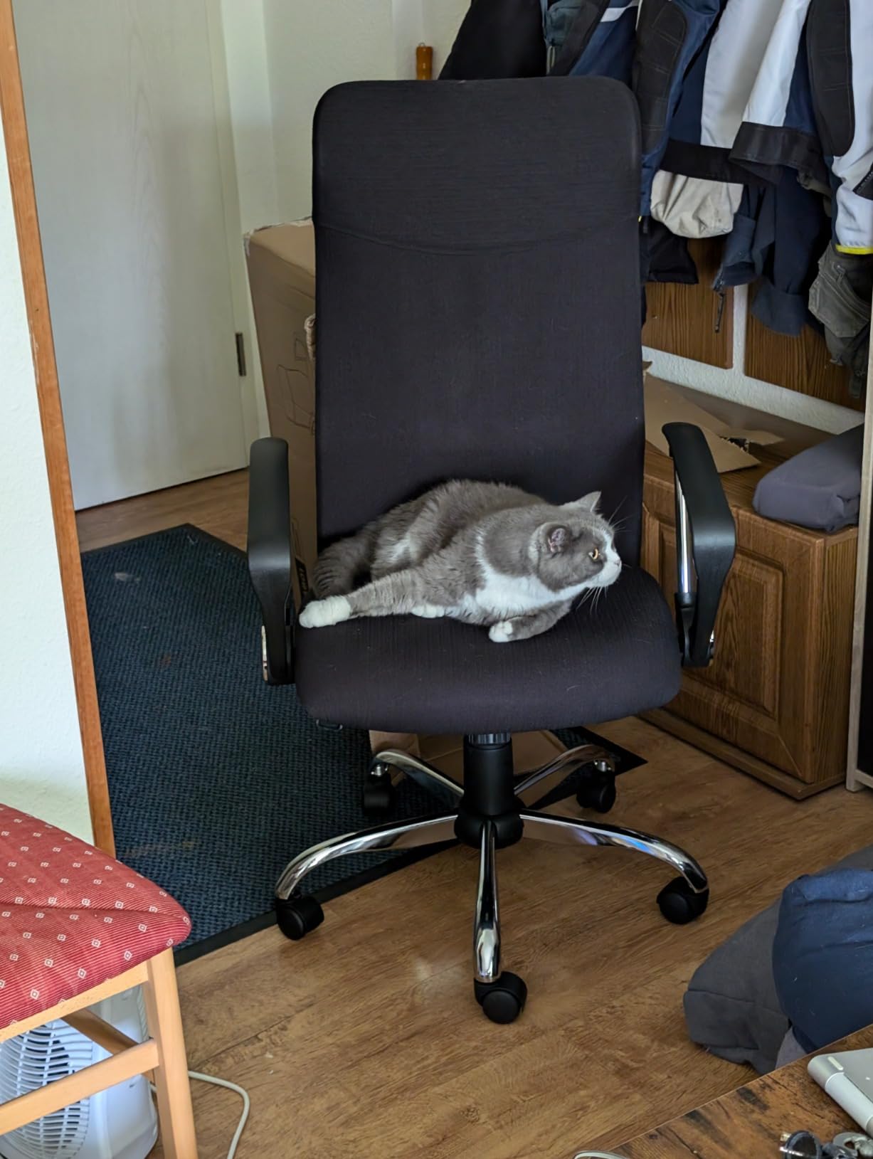 71JmeQa5qhL._SLfull_